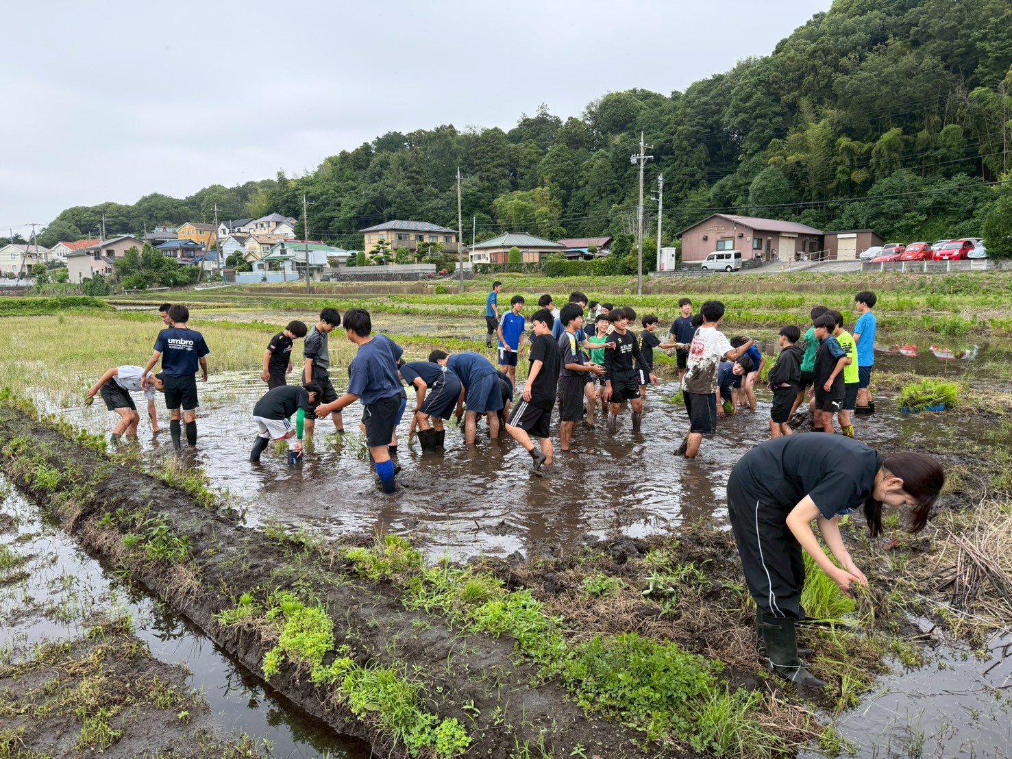 地元サッカー部の中学生60人と田植え体験を実施しました